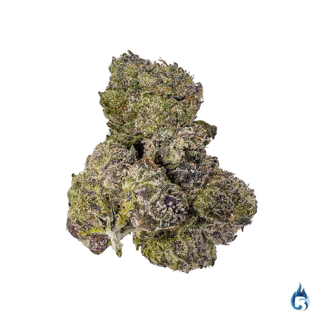 White Cherry Gelato