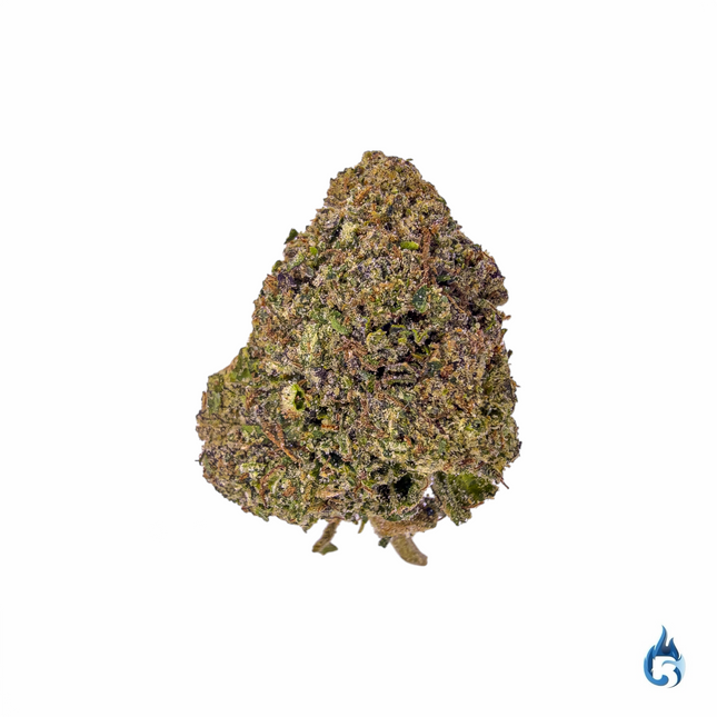 Tangerine Dream